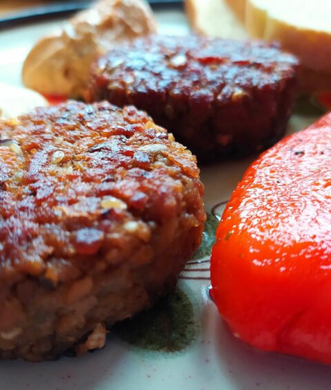 Made in BiH: Burgeri bez mesa
